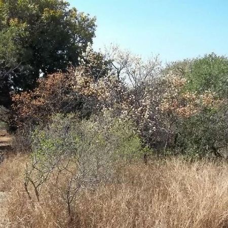 Aloes Bush Stay 호에드스프뤼트 외부 사진